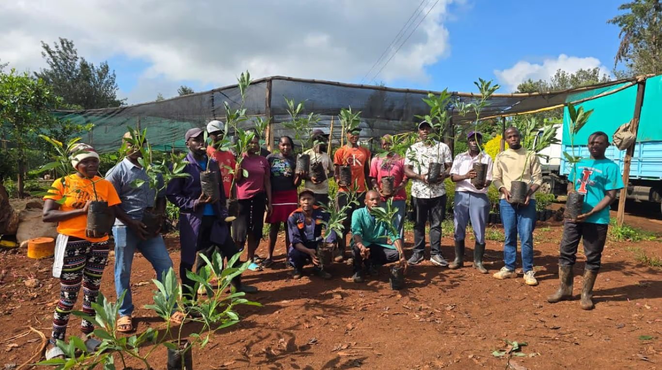 Farmers holding avocado seedlings in planting bags at a seedling distribution